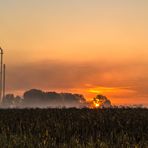 Sonnenaufgang auf der Friesenheimer Insel