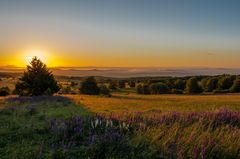 Sonnenaufgang auf der Hochrhönstrasse