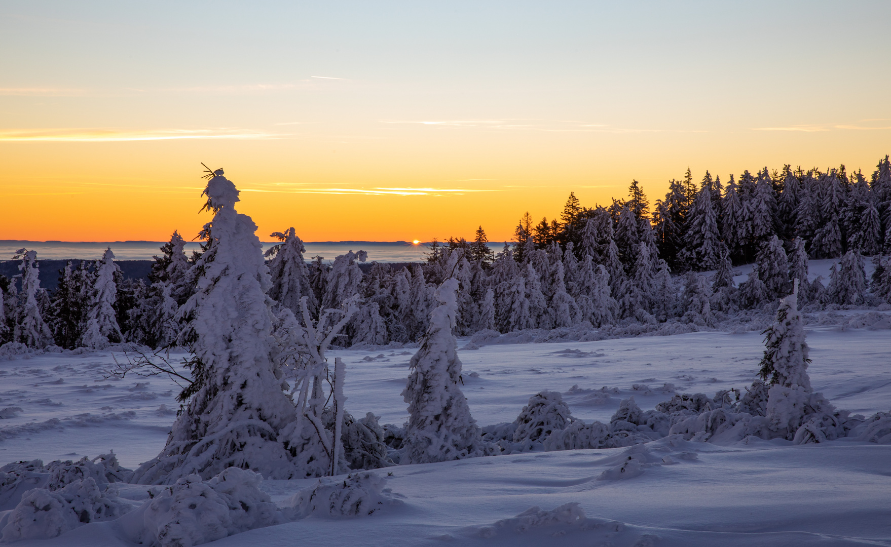 Sonnenaufgang auf der Hornisgrinde