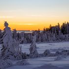 Sonnenaufgang auf der Hornisgrinde