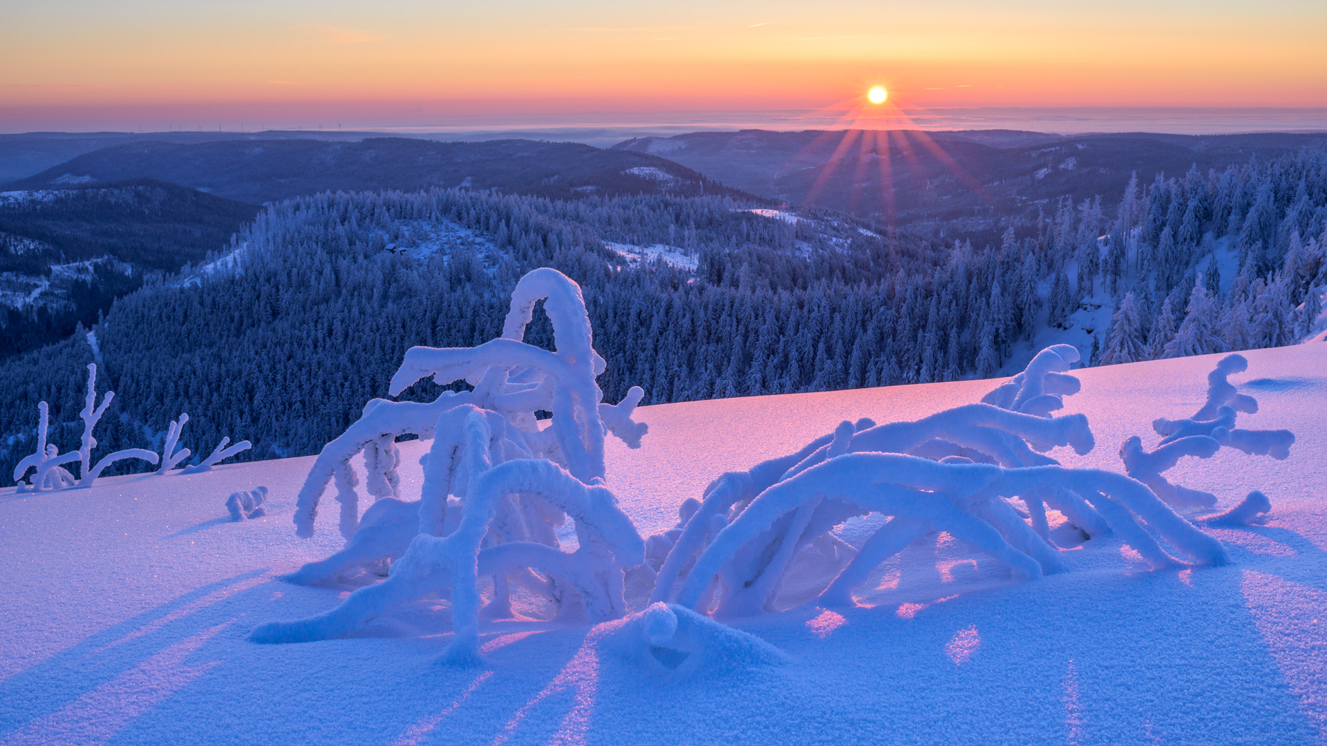 Sonnenaufgang auf der Hornisgrinde