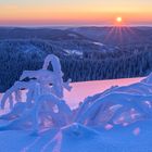 Sonnenaufgang auf der Hornisgrinde