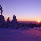 Sonnenaufgang auf der Hornisgrinde