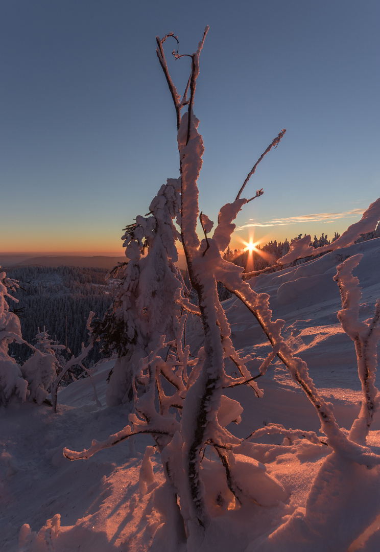 Sonnenaufgang auf der Hornisgrinde