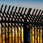 Sonnenaufgang auf der Humboldthöhe in Berlin