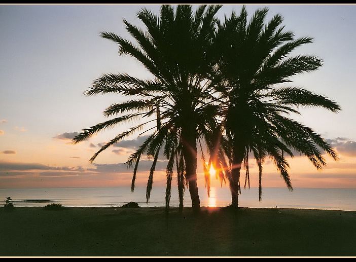 Sonnenaufgang auf der Insel Djerba