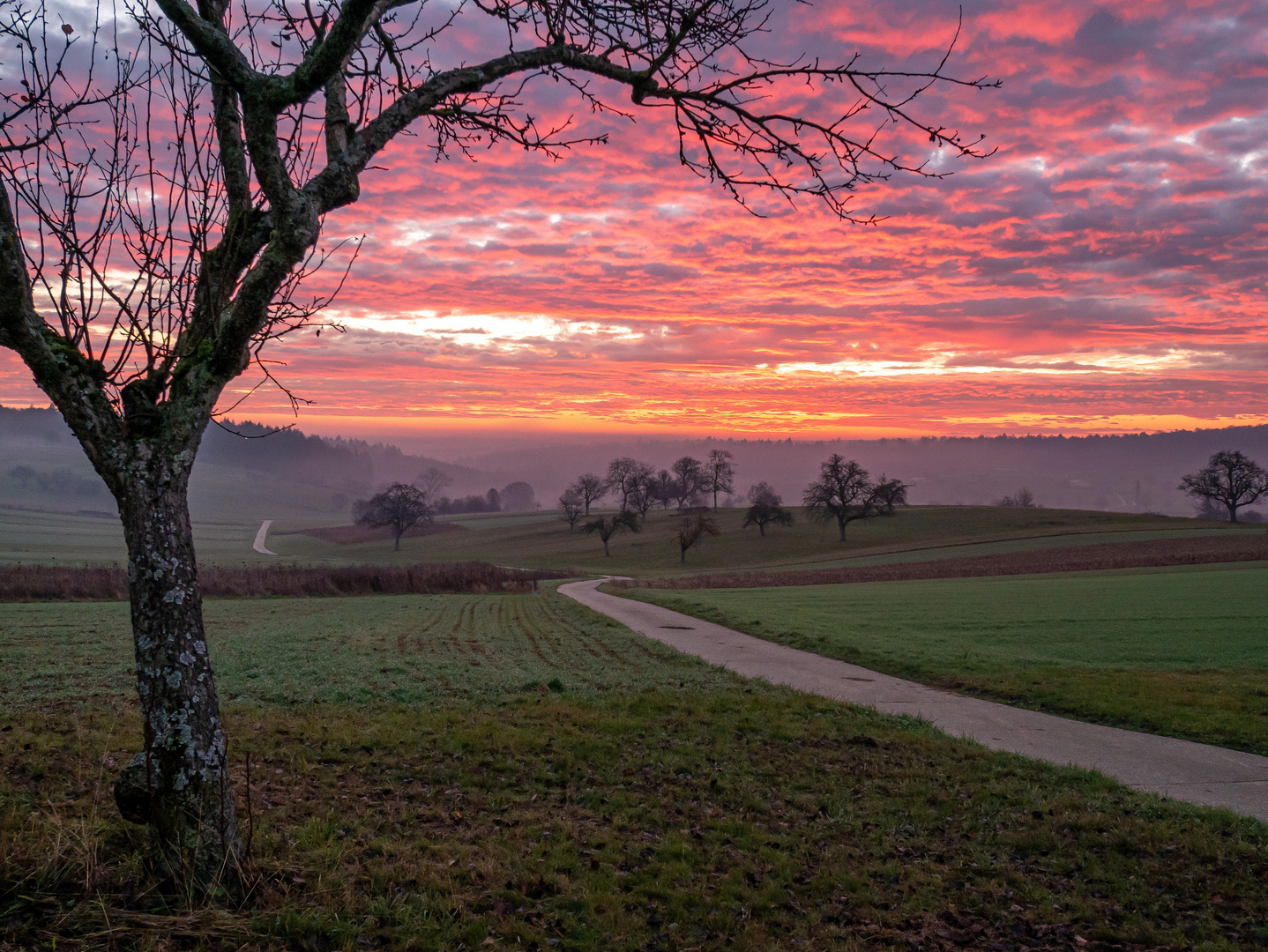 Sonnenaufgang auf der Joggingstrecke