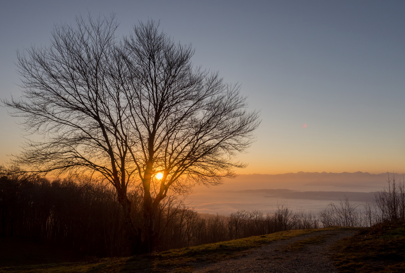 Sonnenaufgang auf der Lägern (Hochwacht) mit Nebelmeer