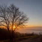 Sonnenaufgang auf der Lägern (Hochwacht) mit Nebelmeer