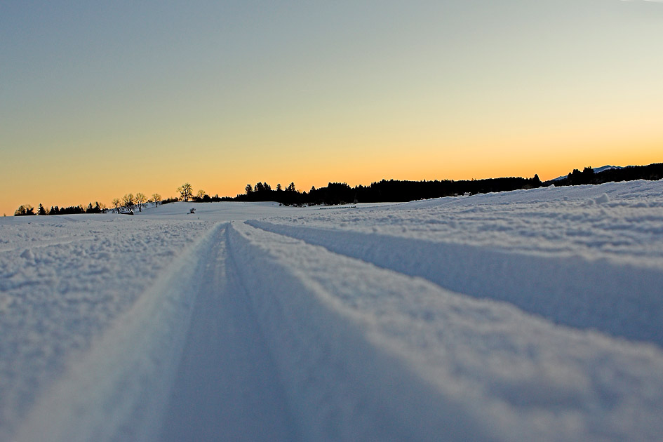 Sonnenaufgang auf der Loipe