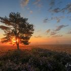 Sonnenaufgang auf der Mehlinger Heide