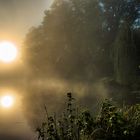 Sonnenaufgang auf der Saone