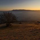 Sonnenaufgang auf der Schwäbischen Alb