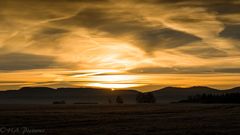 Sonnenaufgang auf der Schwäbischen Alb