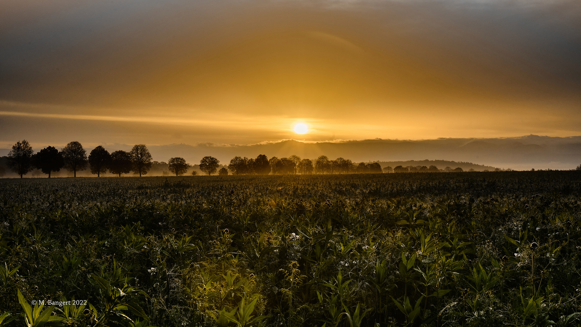 Sonnenaufgang auf Einsiedel und der Alb