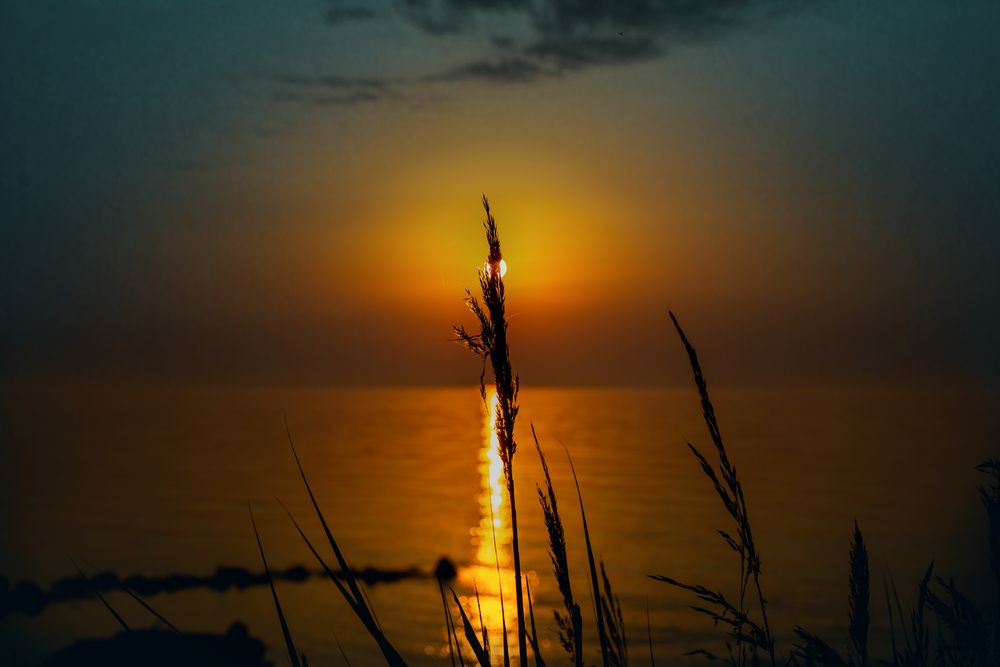 Sonnenaufgang auf Fehmarn