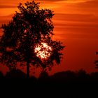 Sonnenaufgang auf Golfplatz