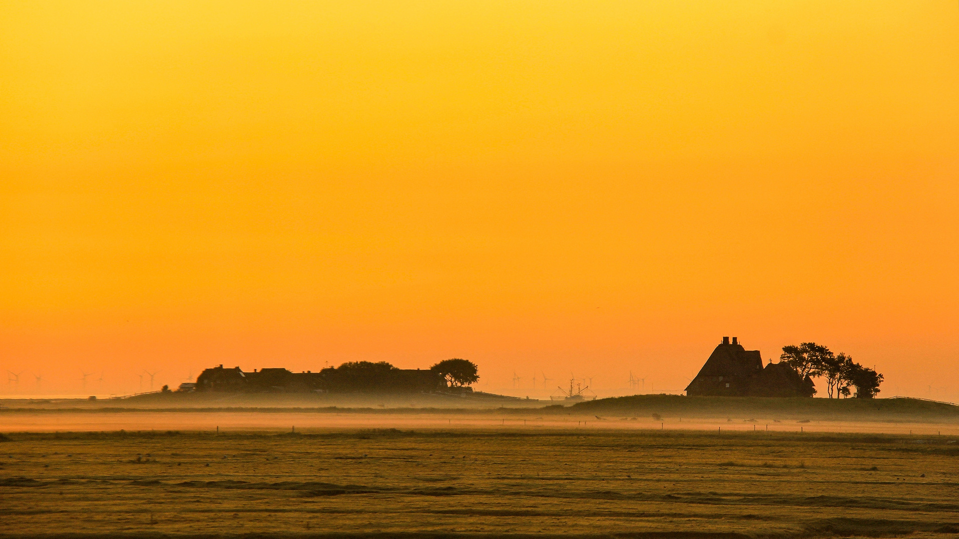 Sonnenaufgang auf Hallig Hooge