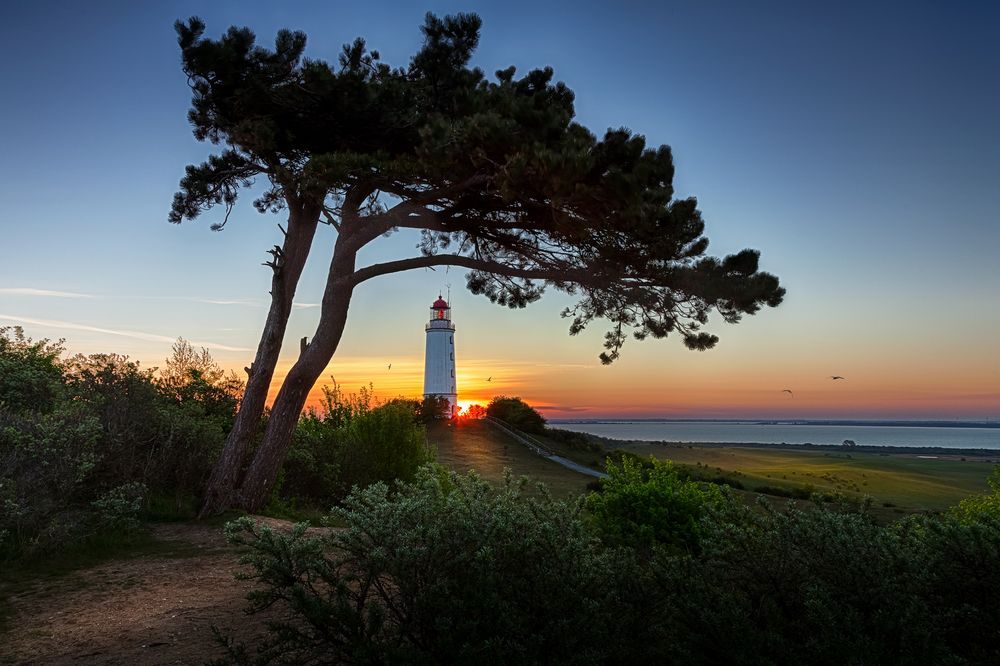 Sonnenaufgang auf Hiddensee