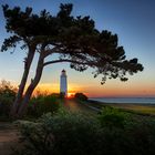 Sonnenaufgang auf Hiddensee