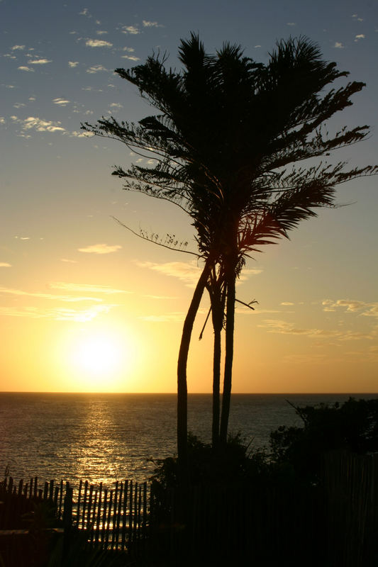 Sonnenaufgang auf Ilha de Marajó