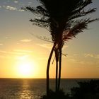Sonnenaufgang auf Ilha de Marajó