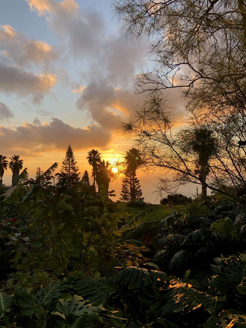 Sonnenaufgang auf Madeira am 3. 1. 2019