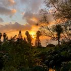 Sonnenaufgang auf Madeira am 3. 1. 2019