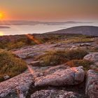 Sonnenaufgang auf Mt. Cadillac - Acadia Nationalpark, Maine