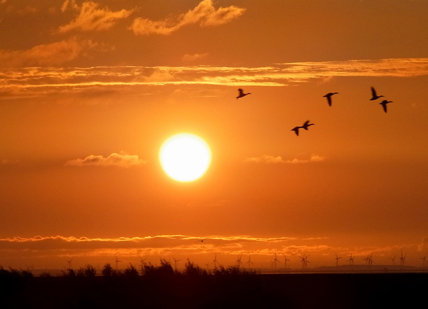 Sonnenaufgang auf Pellworm