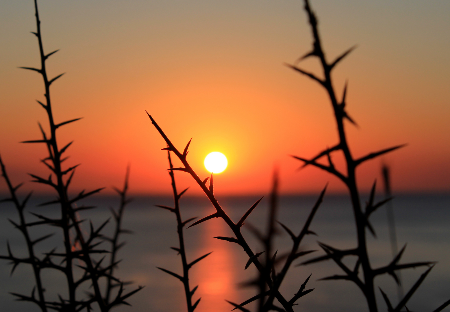 Sonnenaufgang auf Rhodos 2