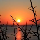 Sonnenaufgang auf Rhodos 2