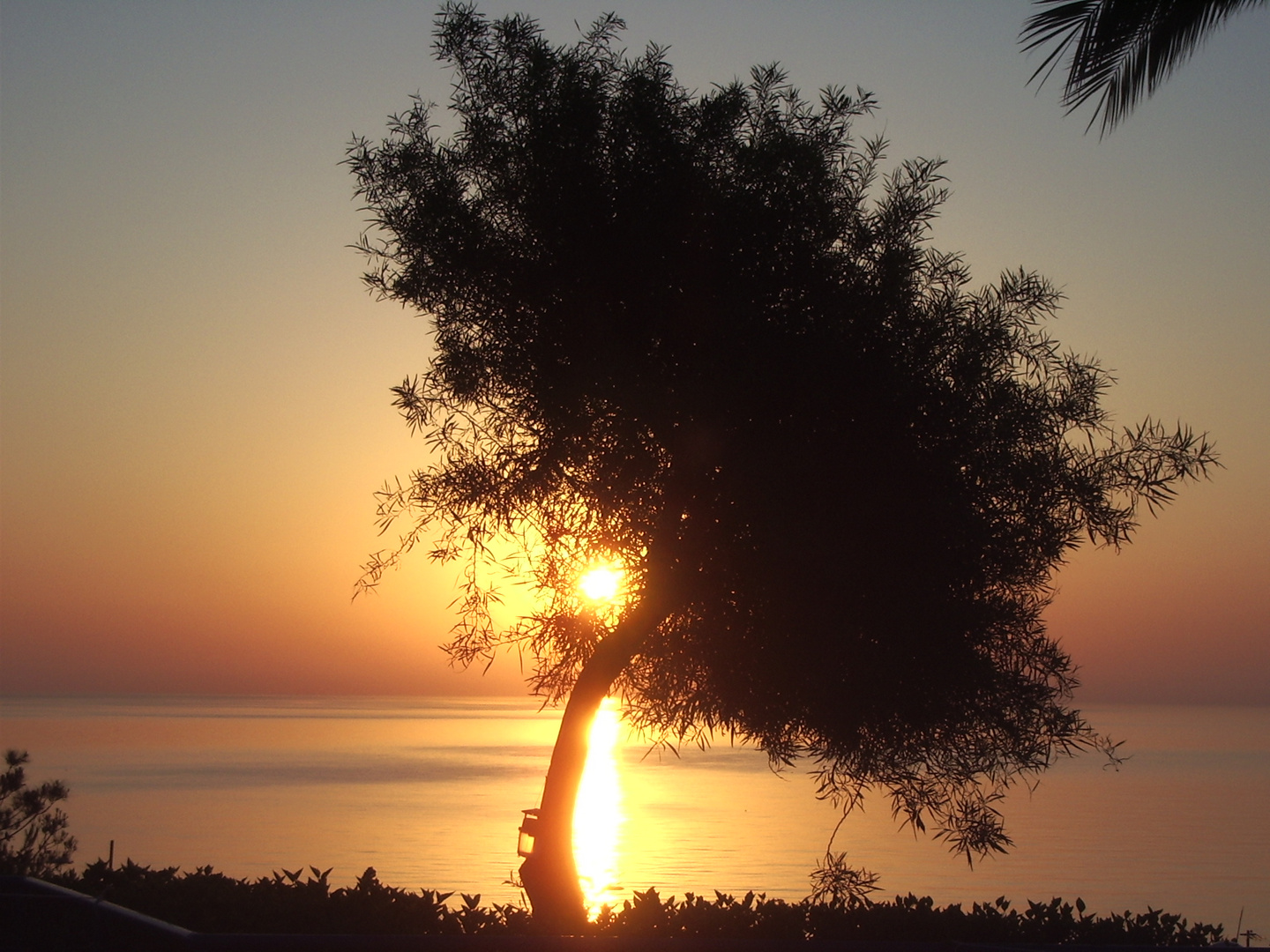 Sonnenaufgang auf Rhodos