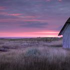 Sonnenaufgang auf Rømø