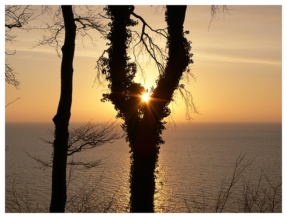 Sonnenaufgang auf Rügen 2