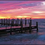 Sonnenaufgang auf Rügen