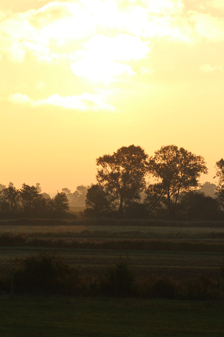 Sonnenaufgang auf Rügen