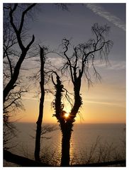 Sonnenaufgang auf Rügen