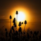 Sonnenaufgang auf Rügen