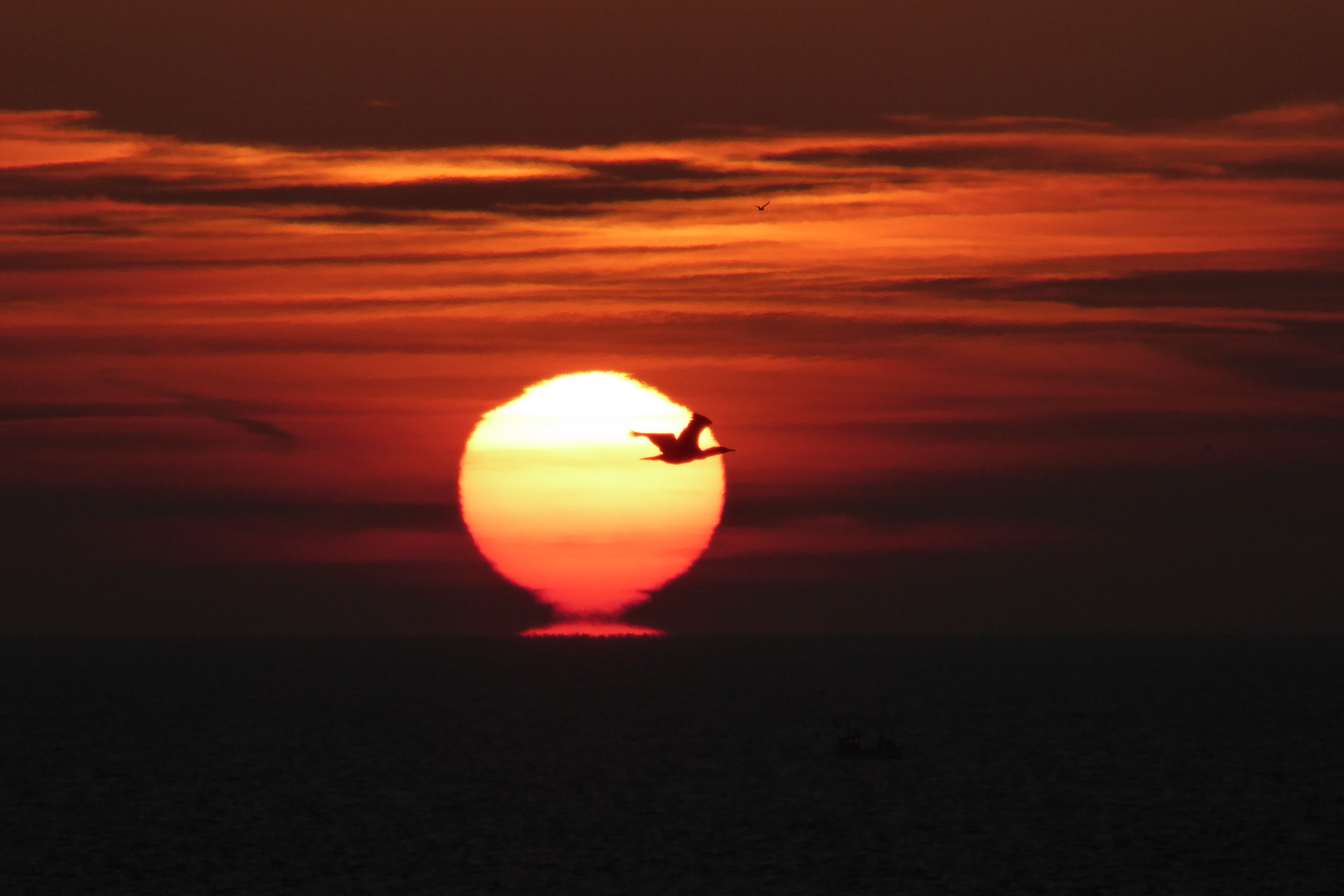 Sonnenaufgang auf Rügen...