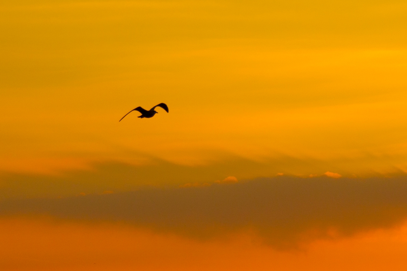 Sonnenaufgang auf Rügen