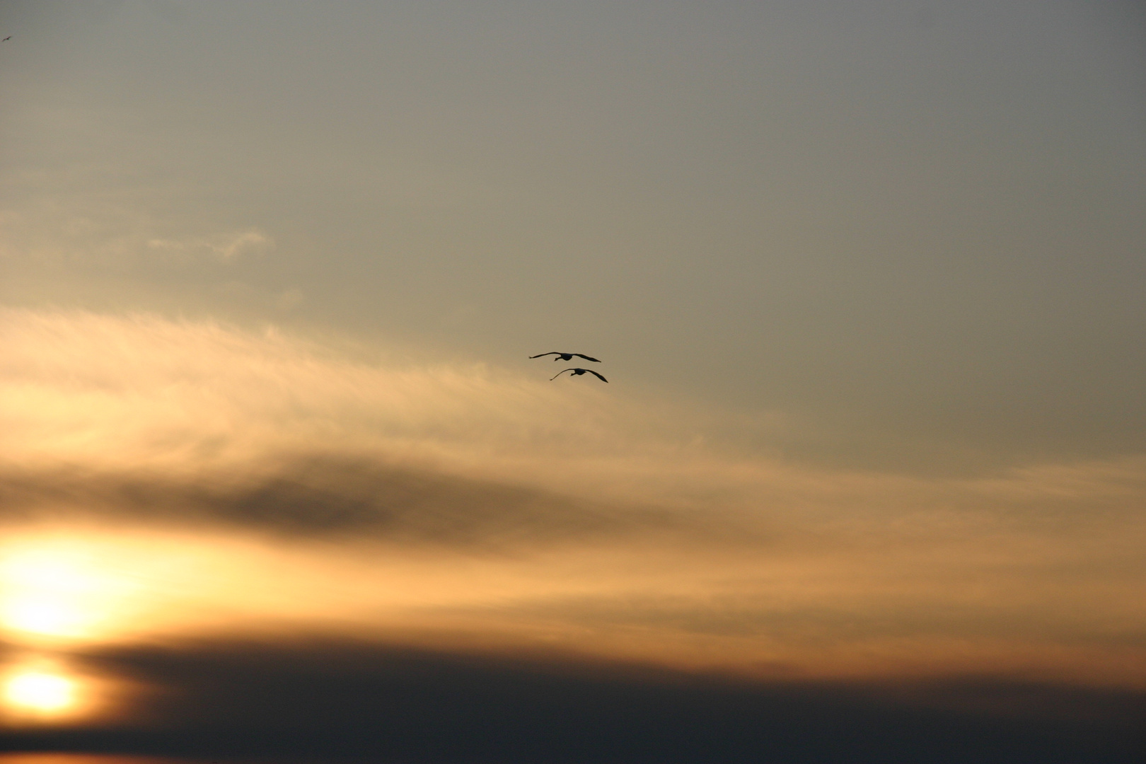 Sonnenaufgang auf Rügen