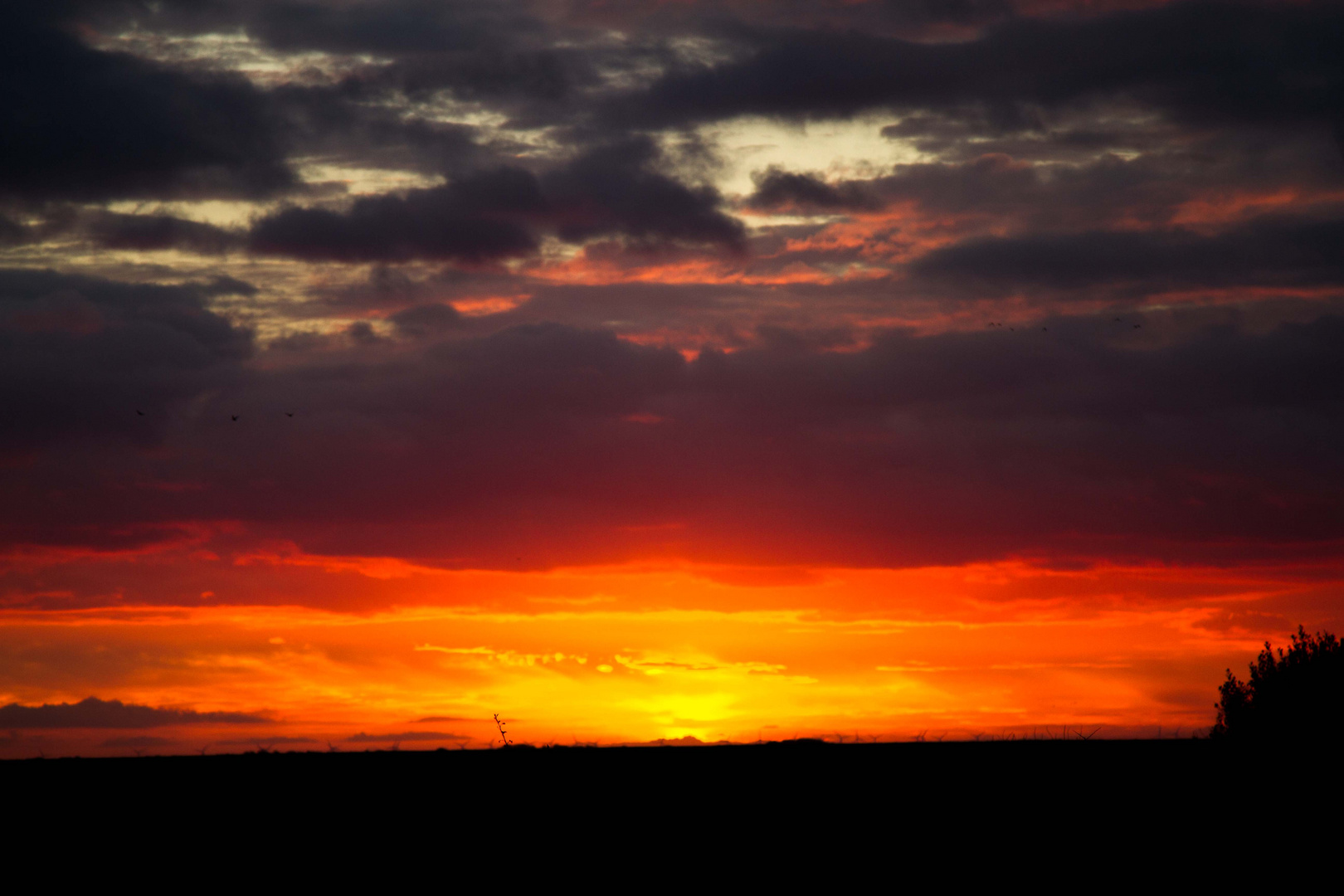 Sonnenaufgang auf Sylt