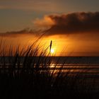 Sonnenaufgang auf Sylt