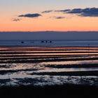 Sonnenaufgang auf Sylt