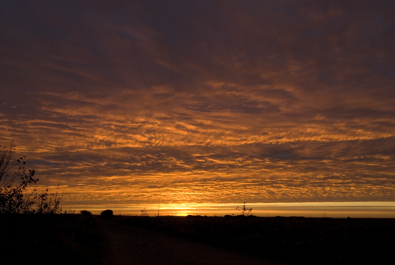 Sonnenaufgang auf Sylt. Frühes aufstehen kann sich lohnen.