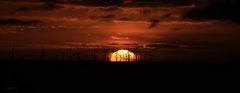 Sonnenaufgang auf Sylt mit Festlandblick