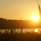 Sonnenaufgang auf Usedom