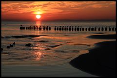 Sonnenaufgang auf Usedom