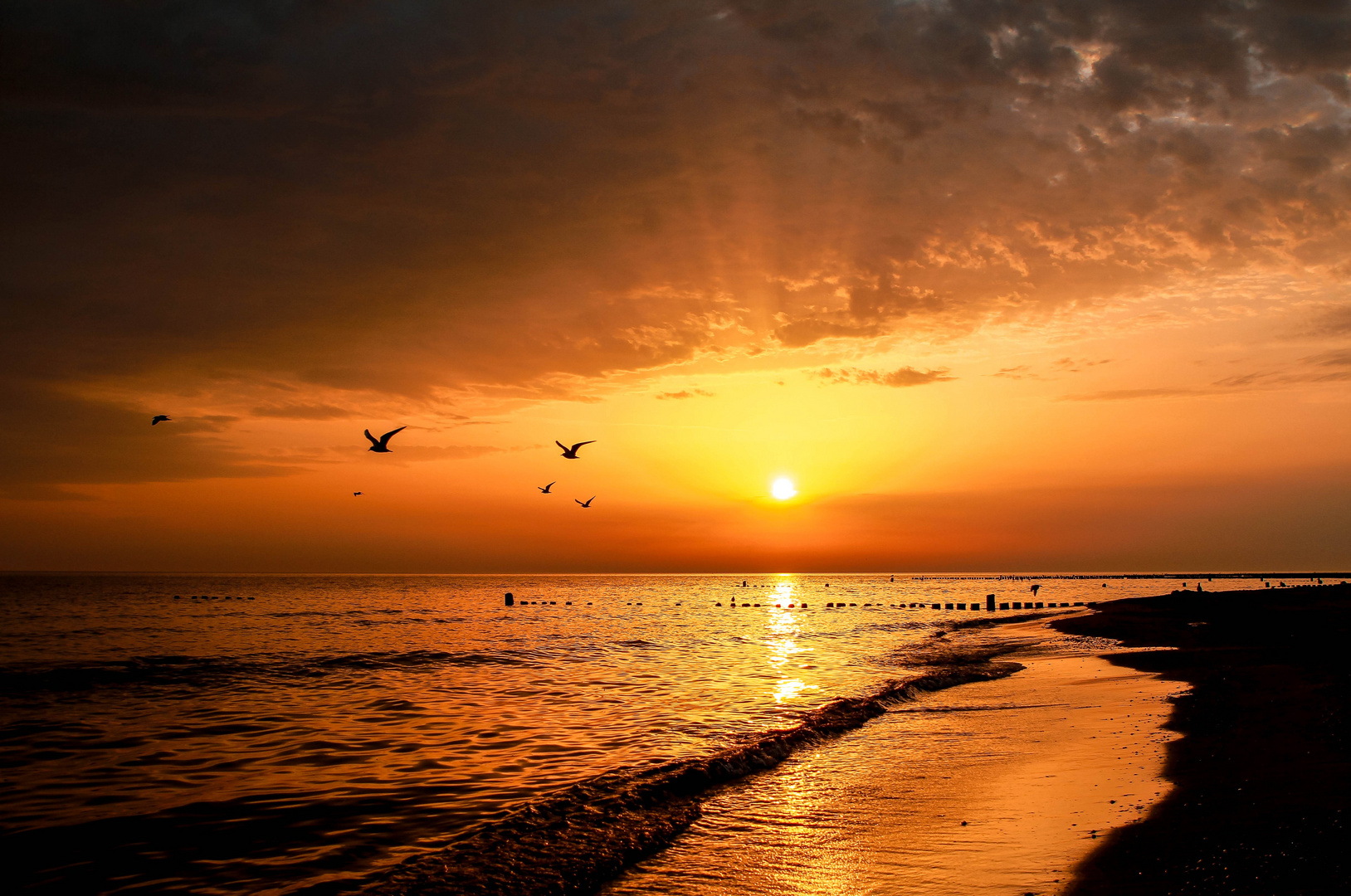 Sonnenaufgang auf Usedom